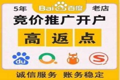 揭秘sem竞价代运营的成功要素及案例